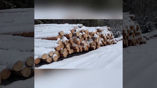 Обзор производства для Александра от 30.01.2021