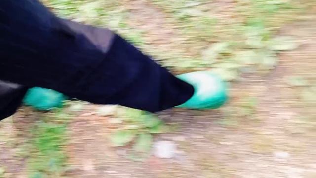 Июль гуляет. 2024