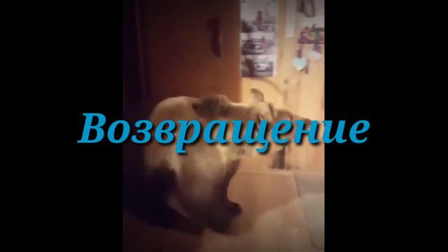 Возвращение матери [Аниме опенинг финальной части первого сезона]