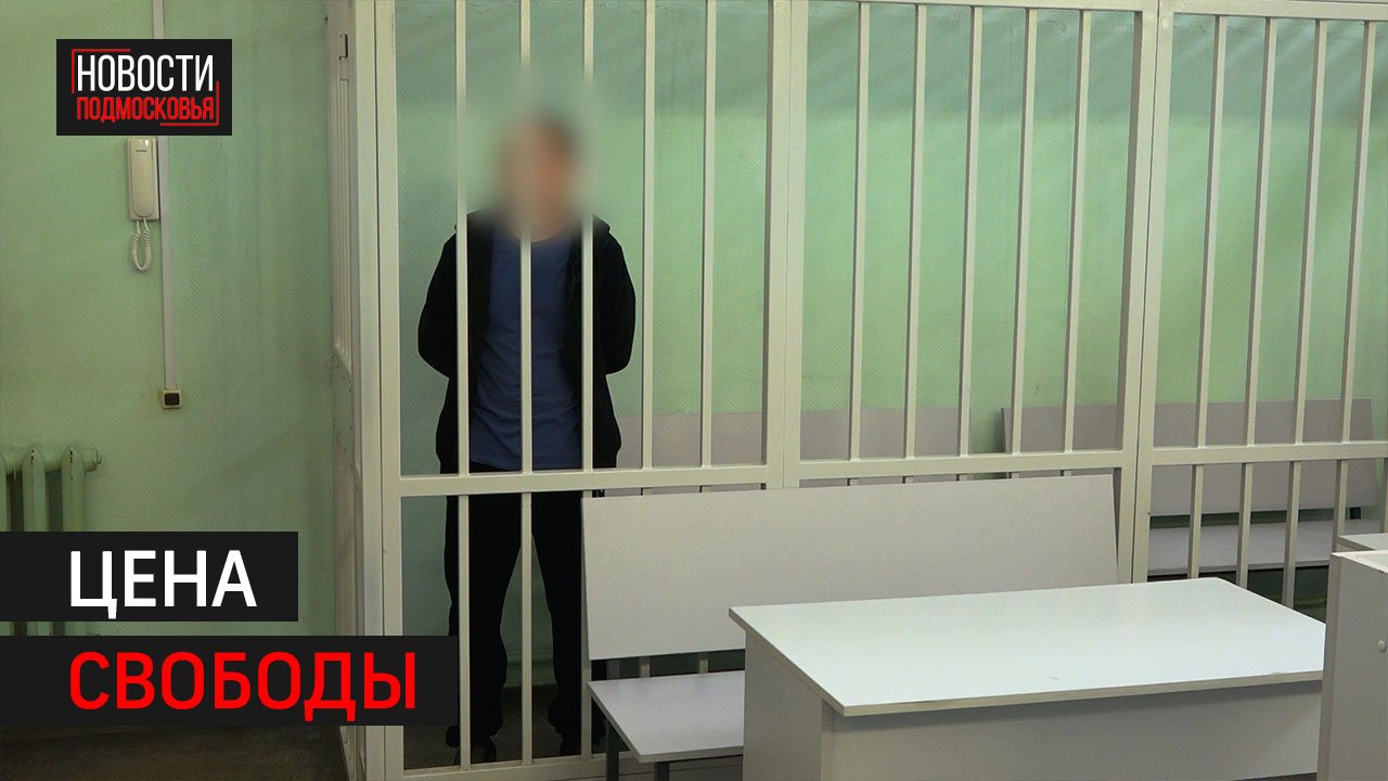 Телефонному мошеннику вынесли приговор в Солнечногорске