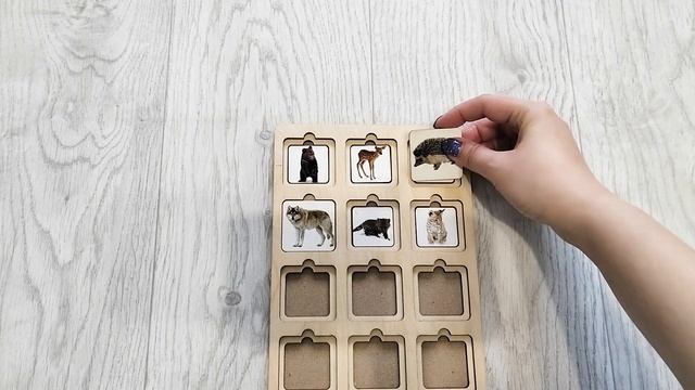 Играем с Маминой Азбукой: дикие животные видео 8