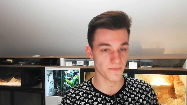 🦎Młode Vs Dorosłe jaszczurki - co wybrać? 💁♂️