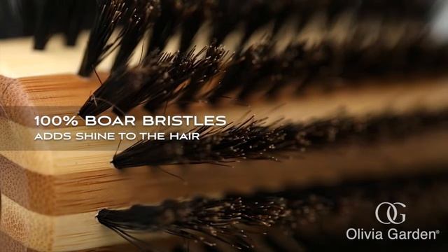 Healthy Hair® Boar Brush Collection | Olivia Garden