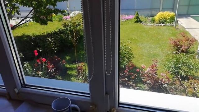 #кухня #санузел Обзор моей кухни