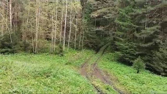 VID-20240906-WA0010.mp4