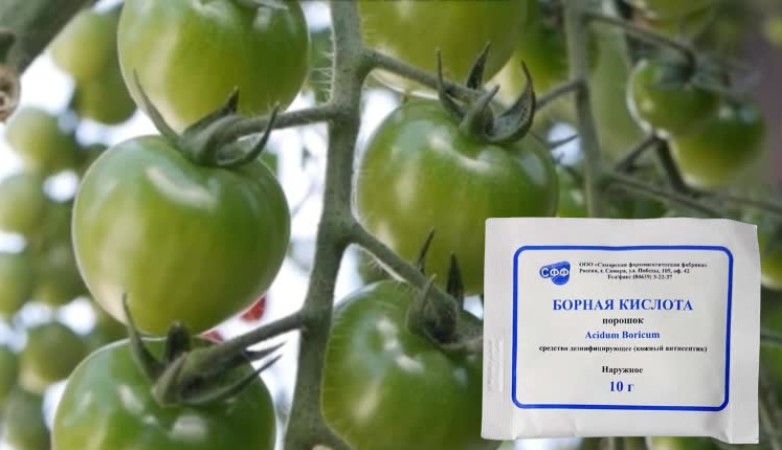 Бор для повышения урожая. Когда и чем обработать растения бором