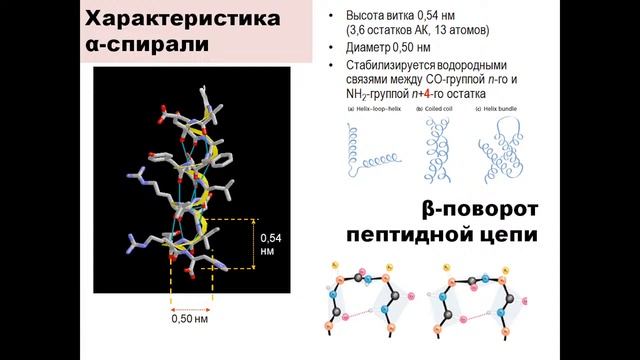 Индирякова_Ольга_Анатольевна_Биохимия_1_08022022