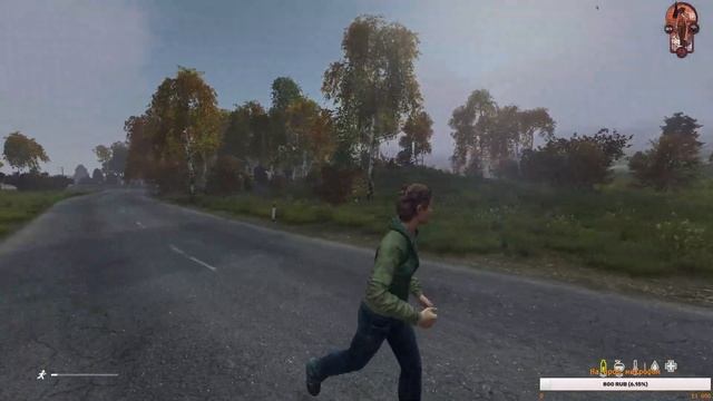Dayz Прогулка перед сном...