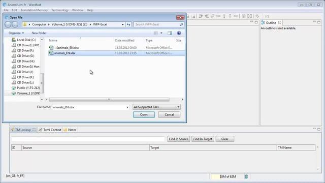 How to translate Excel columns in Wordfast Pro