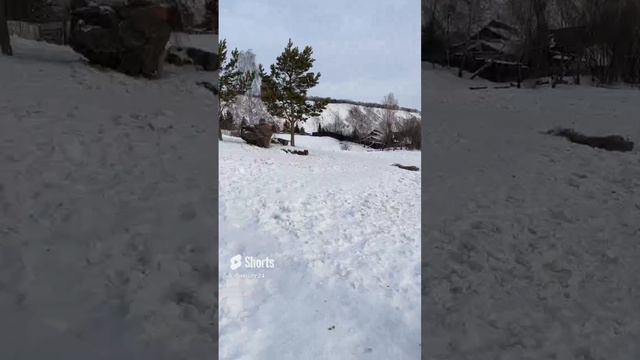 Кормление уток на Енисее в Свято-Успенском монастыре Красноярска