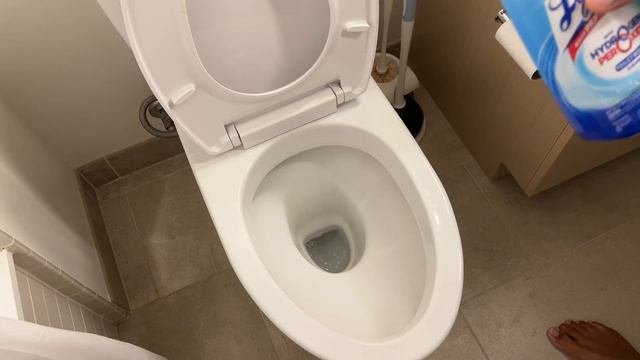 Cleaning Bathroom Toilet With Lysol Hydrogen Peroxide Toilet Cleaner - Clean with Me Episode 43