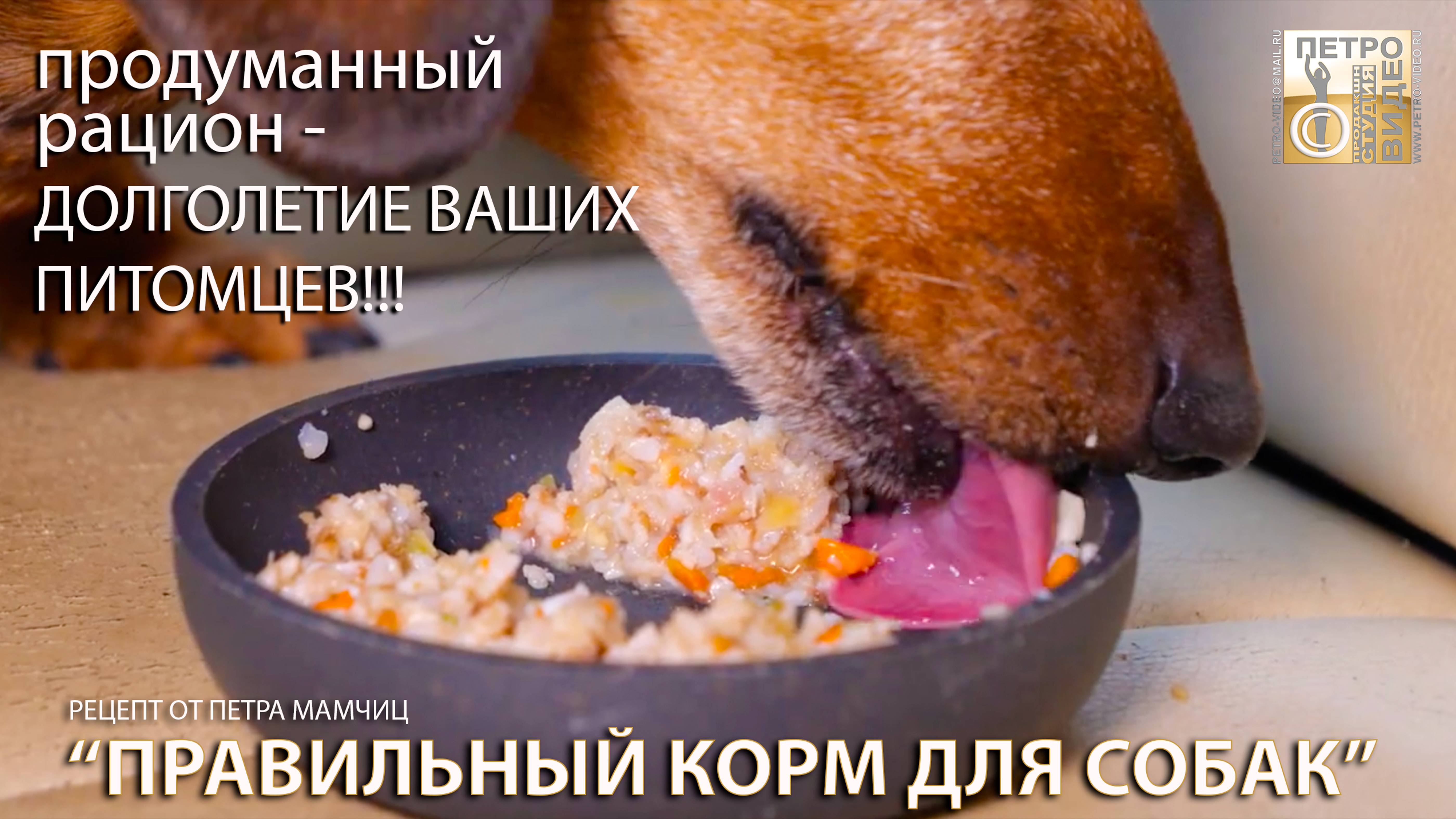 Корм для собак! 
Рацион из мяса, печени и рубца для любимых питомцев! 
Готовим много и на долго!