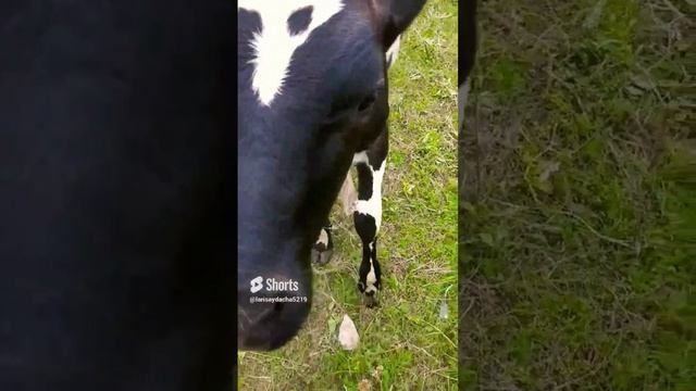 лето....mp4