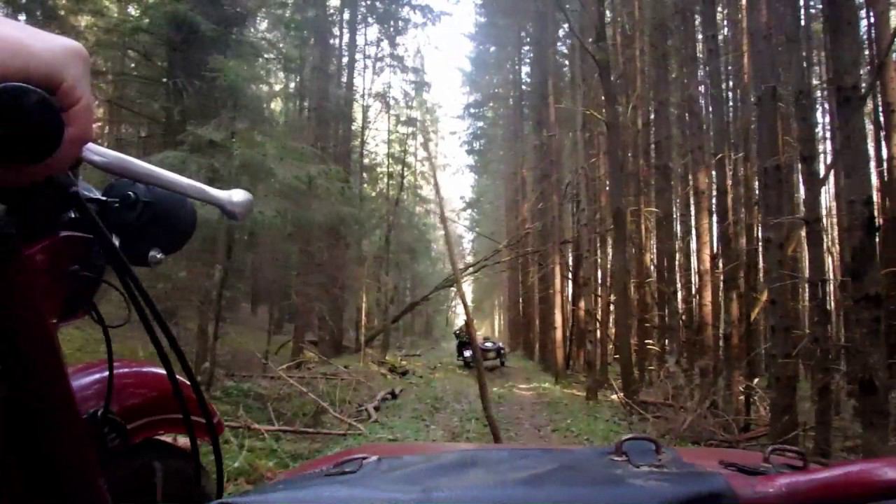 Майские праздники