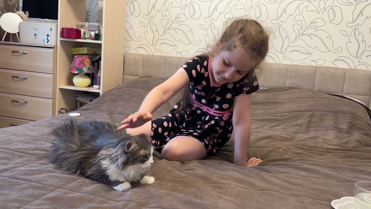 Линда гладит кошку