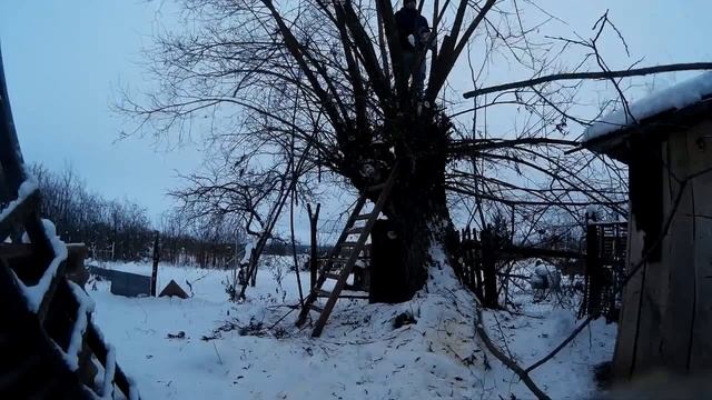 Бензопила Штиль MS-180C  обкатка и отзыв