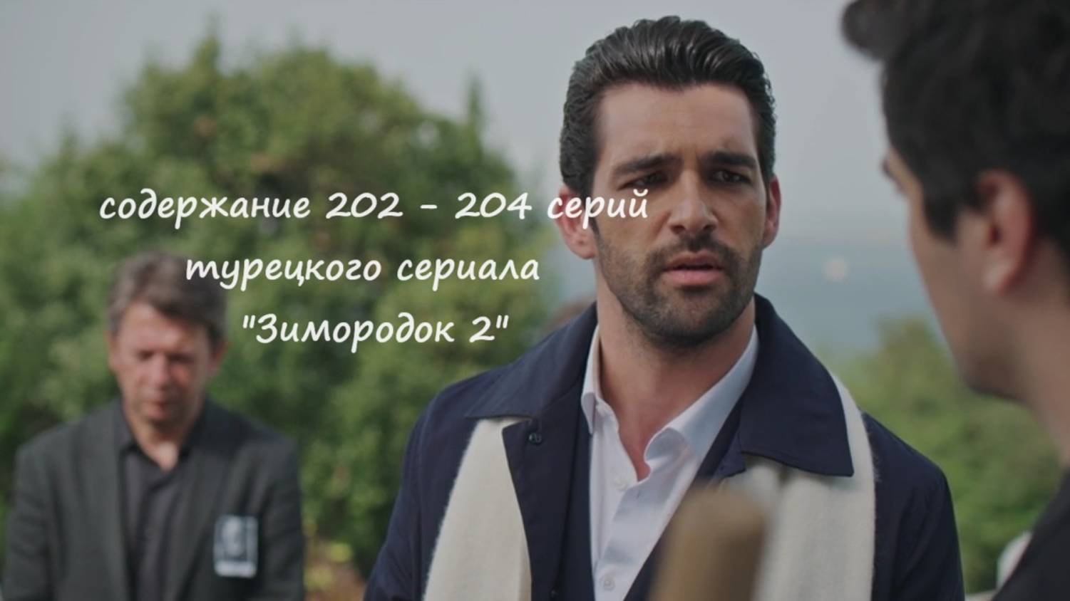 Содержание 202 - 204 серий (29 турецкая) второго сезона сериала "Зимородок" (РФ, 2023 / 2024)