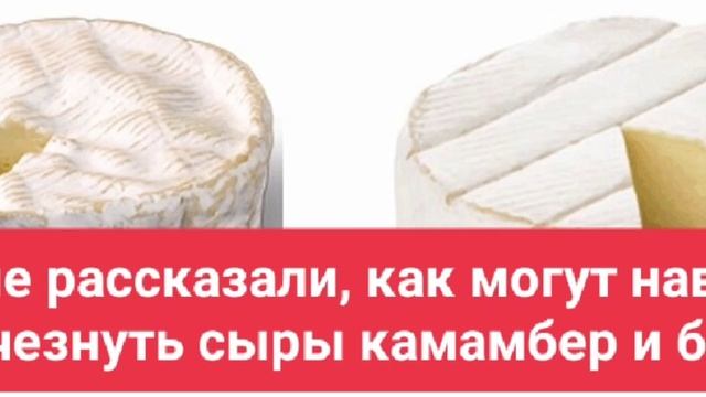 Ученые рассказали, как могут навсегда исчезнуть сыры камамбер и бри