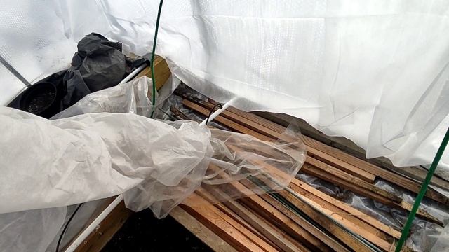 Парник из светофора. Отзыв