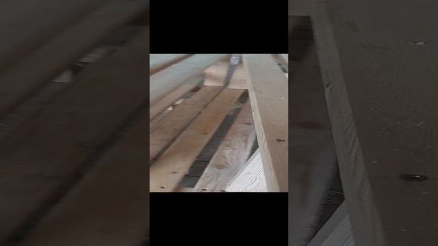 20230411_122330.mp4