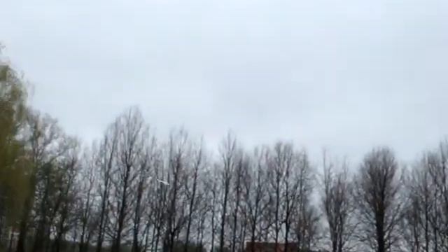 Запуск кордовой бойцовой модели