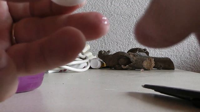 что делать когда у голубей треснуло яйцо.как его спасти