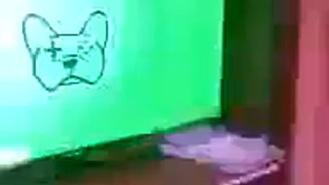 Komputersem женоненавистник