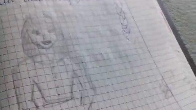 Мои рисунки