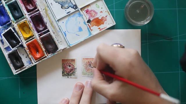 Speed painting of a Protea Stamp