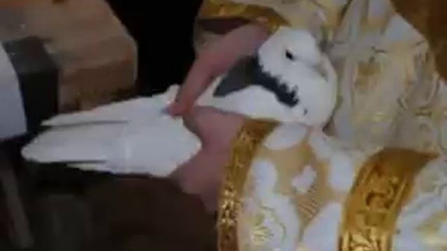 Великое Славословие.Хор Храма Рождества Христова.