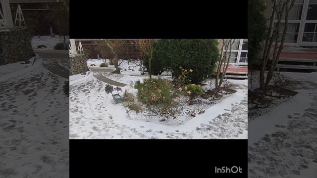 снег в благе_январь24.mp4