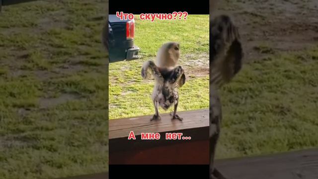Ему не скучно