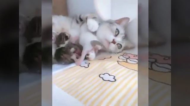 Животные 3(2)