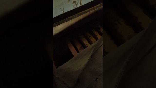 ДОТАЦИЯ в ведëрках пошла, эксперемент+!!! Состояние зимовки в омшанике на 18.02.24.