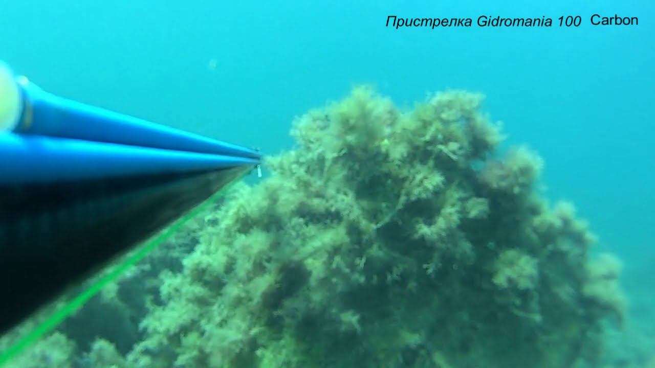 Пристрелка Gidromania 100 Carbon