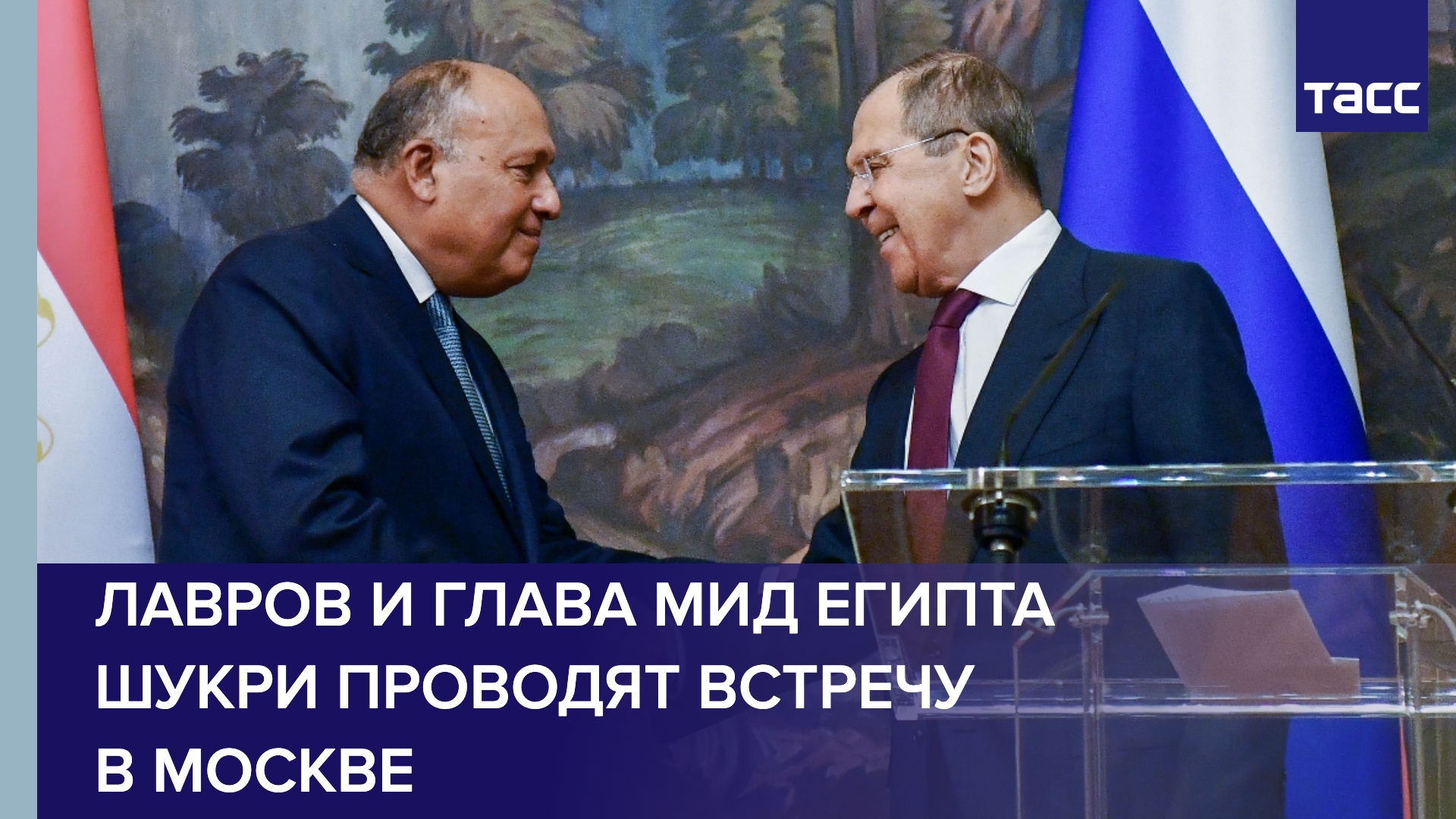 Лавров и глава МИД Египта Шукри проводят встречу в Москве