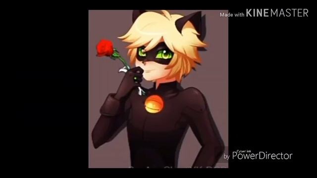 Маринетт леди баг и кот нуар ???