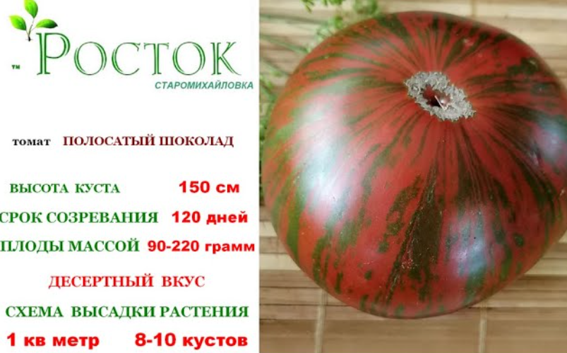 Полосытый Шоколад томат  СЕМЕНА ДОНЕЦК