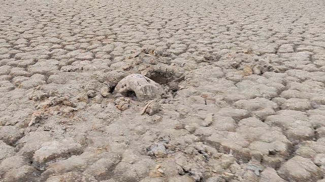 Солёное озеро в окрестностях Ставрополя