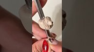 Процесс лепки льва. Дредобусина