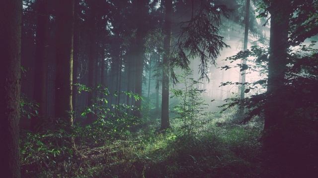СПОКОЙНАЯ КРАСИВАЯ МЕЛОДИЯ ДЛЯ СНА И ОТДЫХА.