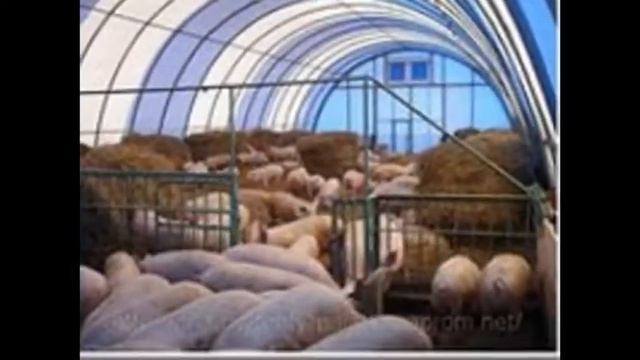 Бескаркасные зернохранилища. angar.group. 8-900-929-6882