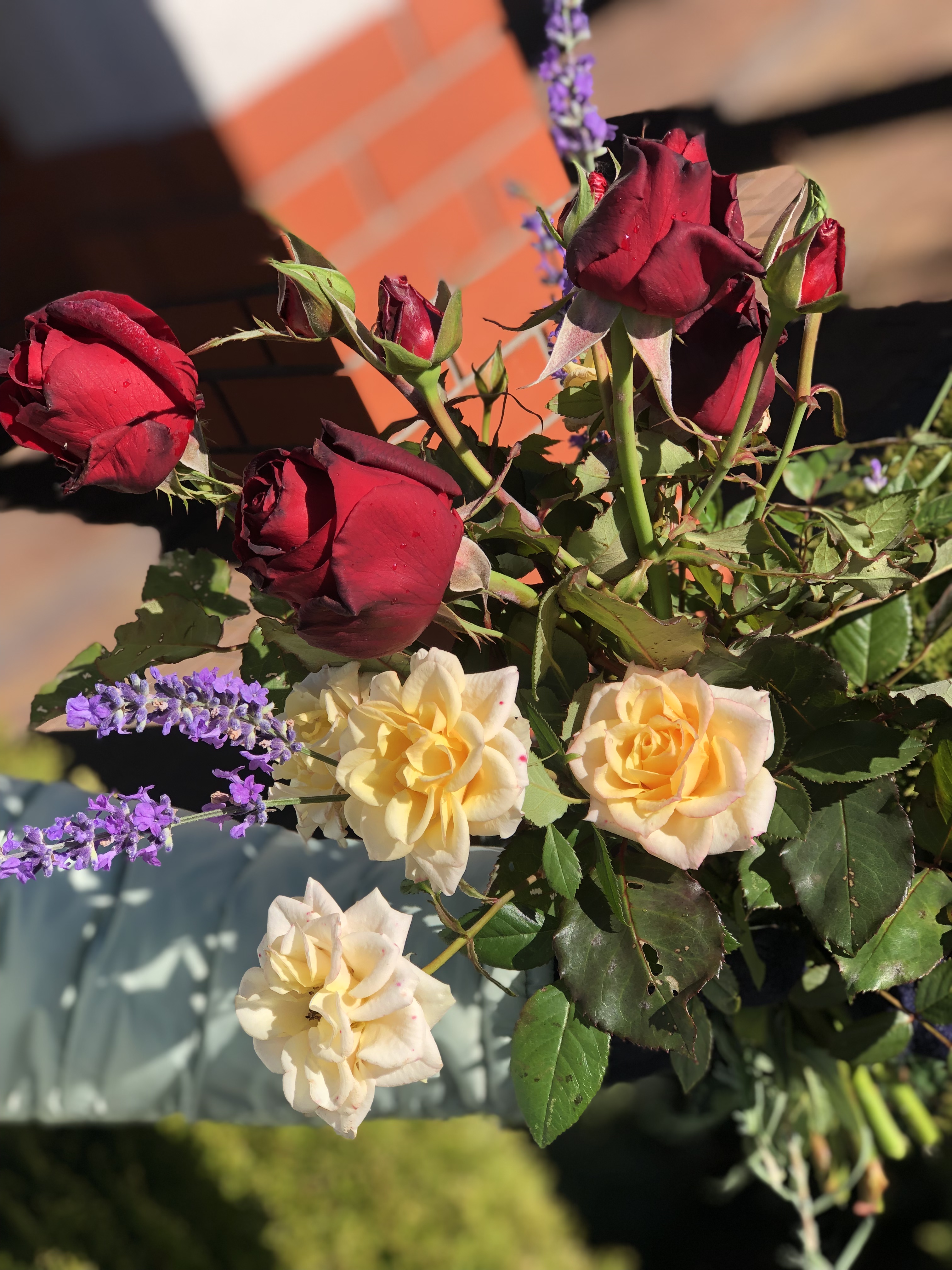 Необычное сочетание лаванды с розами