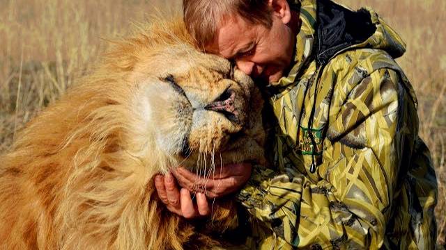 ОЛЕГ ЗУБКОВ-ЧЕЛОВЕК ЛЕВ ! Сафари Парк Львов Тайган      Lions Safari Park Taygan