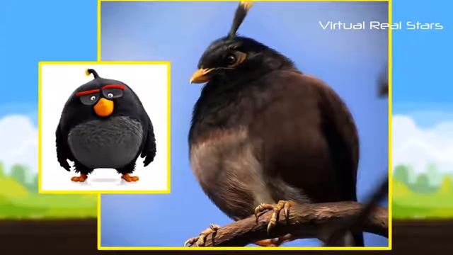 Angry Birds REAL LIFE All Characters [HD] 2017
