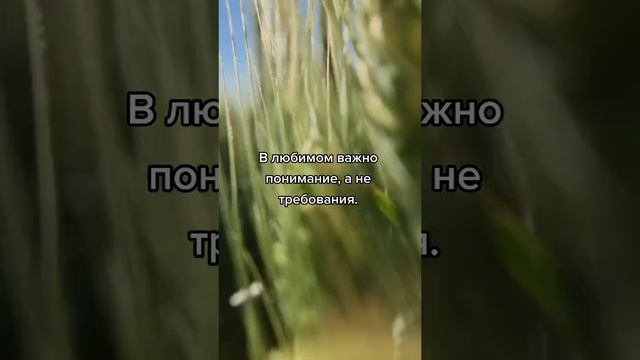 ВЕРНОСТЬ.