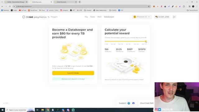 Storage Node Earnings are INSANE | DeNet Setup Guide