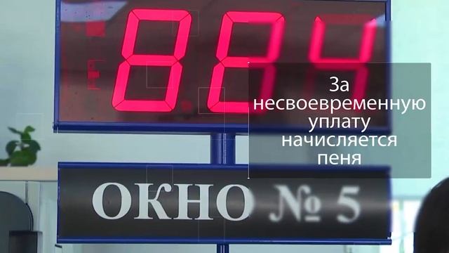 По срокам уплаты налога на транспортные средства физических лиц