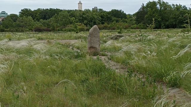 Ботанический сад г. Донецк, ДНР май 2024