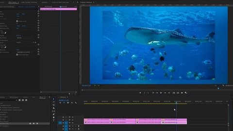 Clean Professional PHOTO SLIDESHOW tutorial in Adobe Premiere Pro